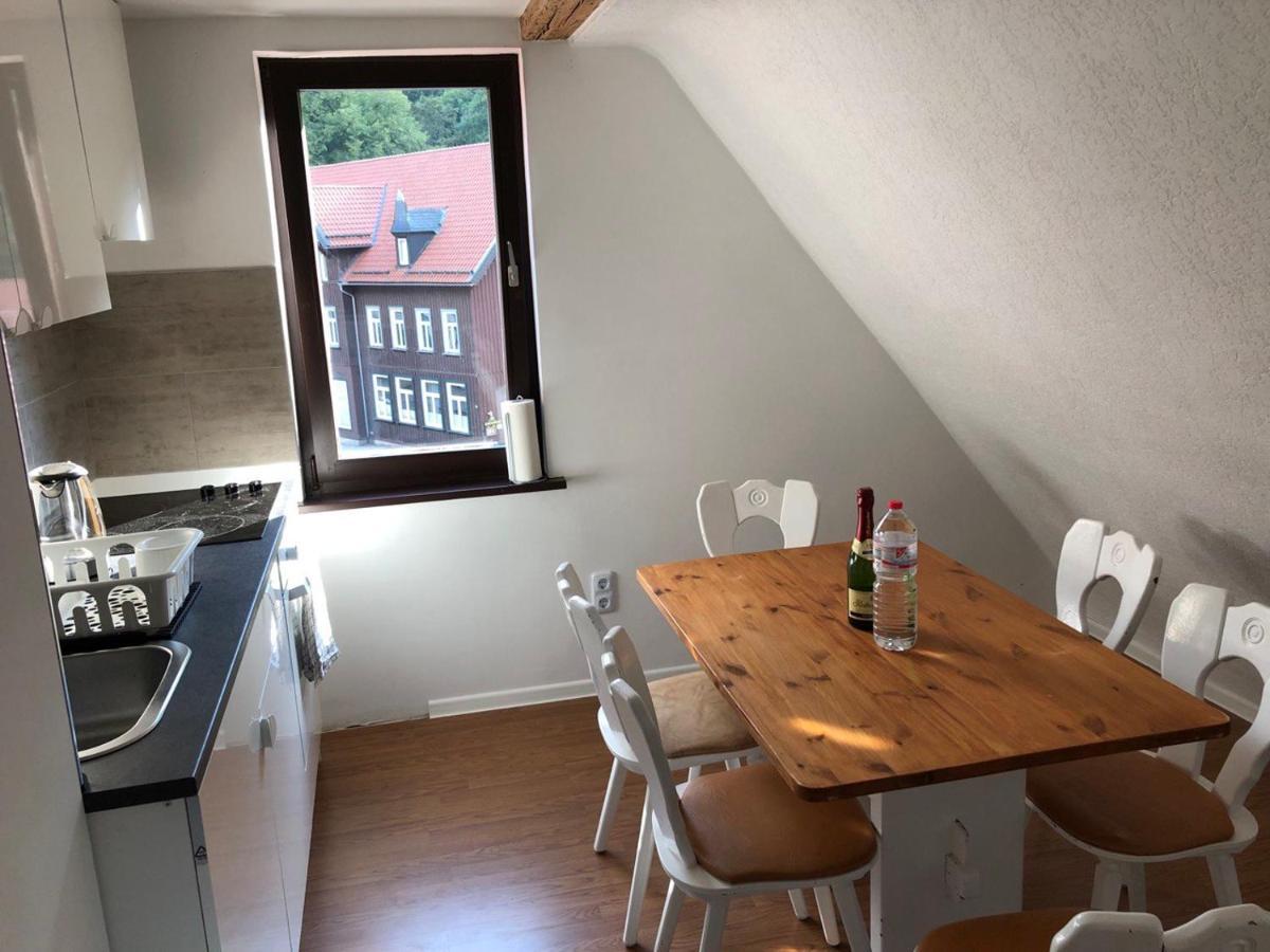 Ferienhaus Art Apartment - Harz Zorge Dış mekan fotoğraf