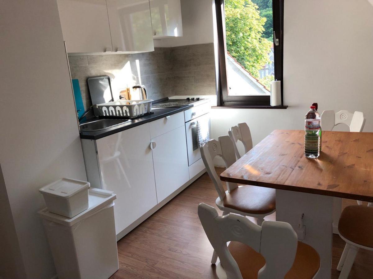 Ferienhaus Art Apartment - Harz Zorge Dış mekan fotoğraf