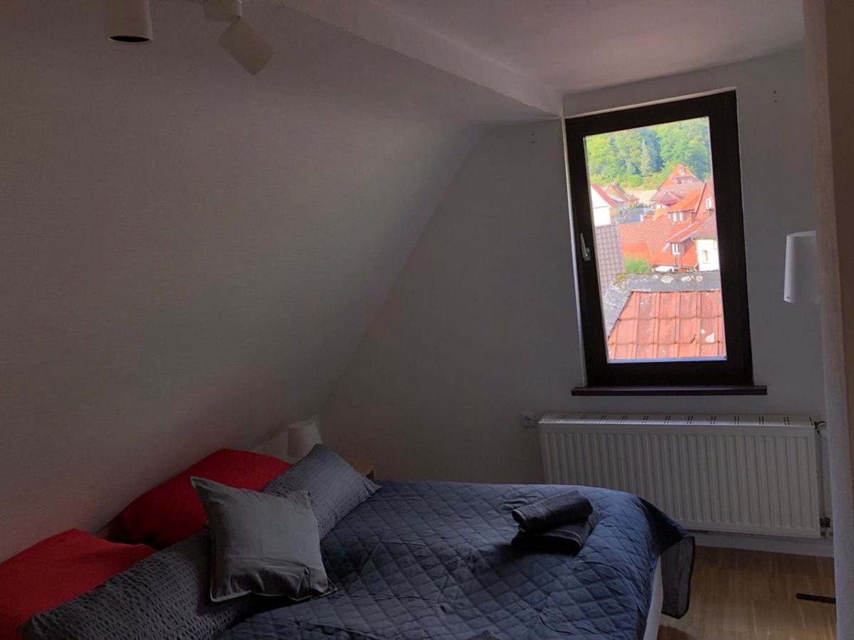 Ferienhaus Art Apartment - Harz Zorge Dış mekan fotoğraf