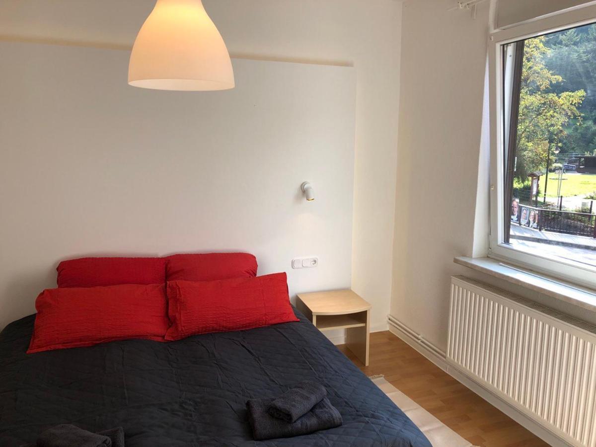 Ferienhaus Art Apartment - Harz Zorge Dış mekan fotoğraf