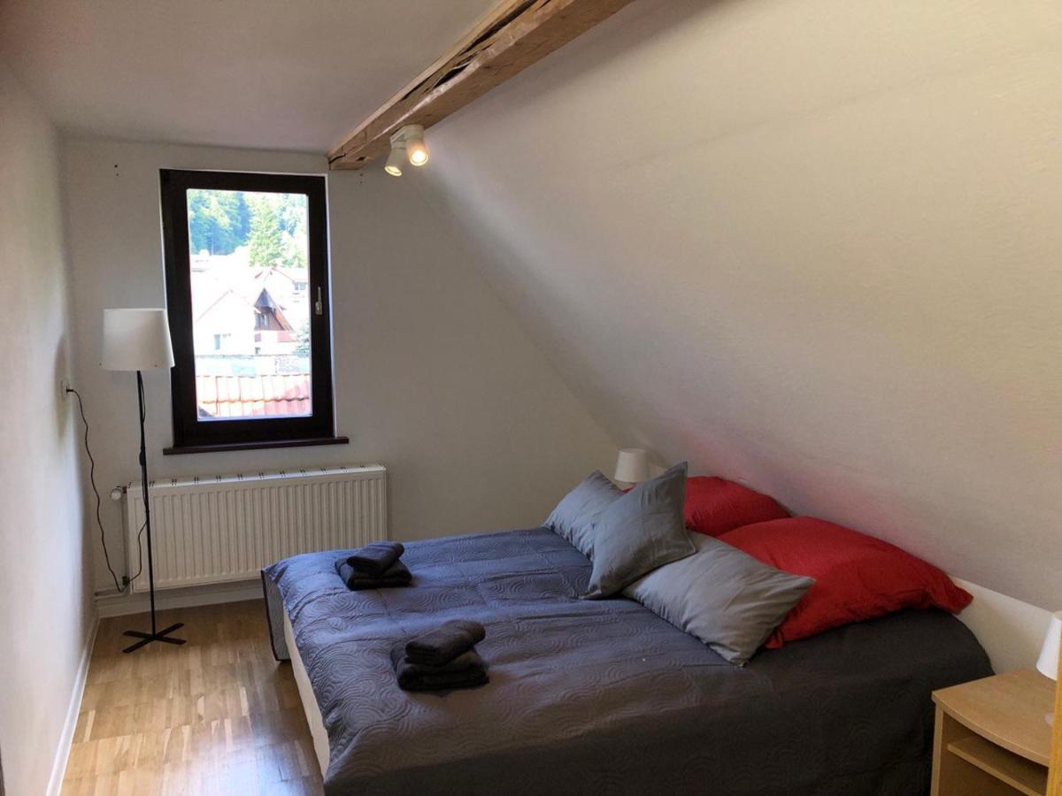 Ferienhaus Art Apartment - Harz Zorge Dış mekan fotoğraf
