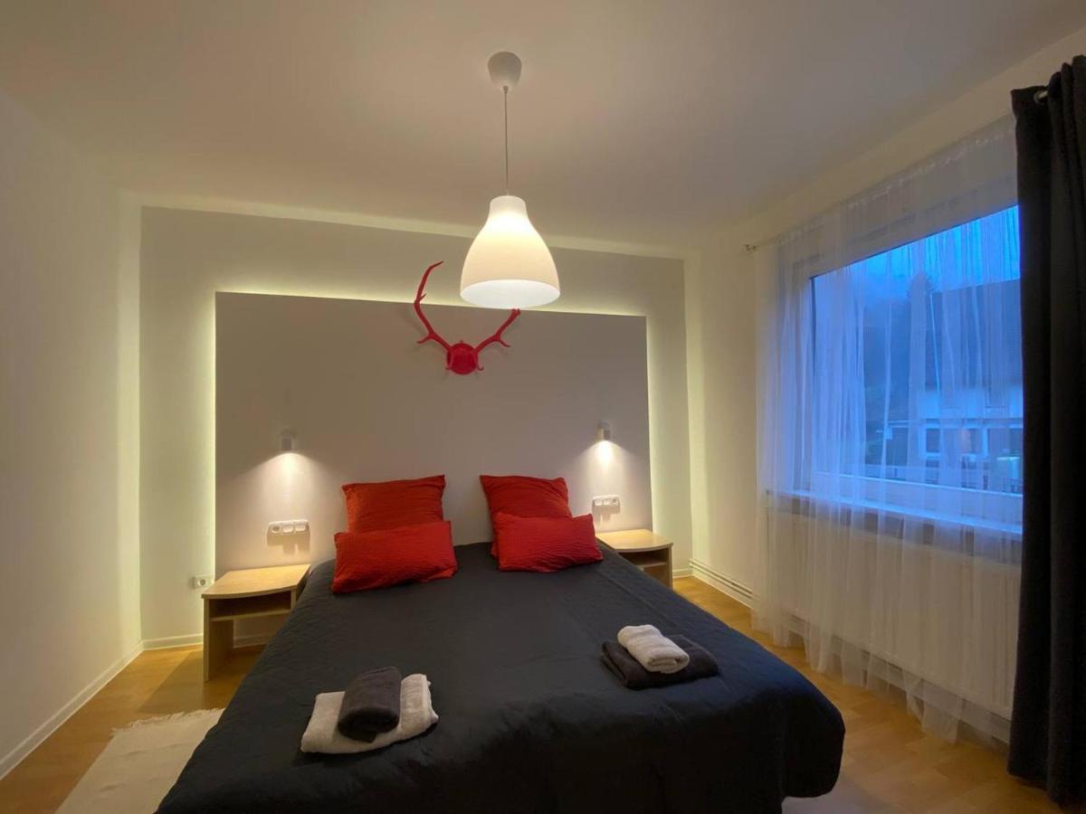 Ferienhaus Art Apartment - Harz Zorge Dış mekan fotoğraf