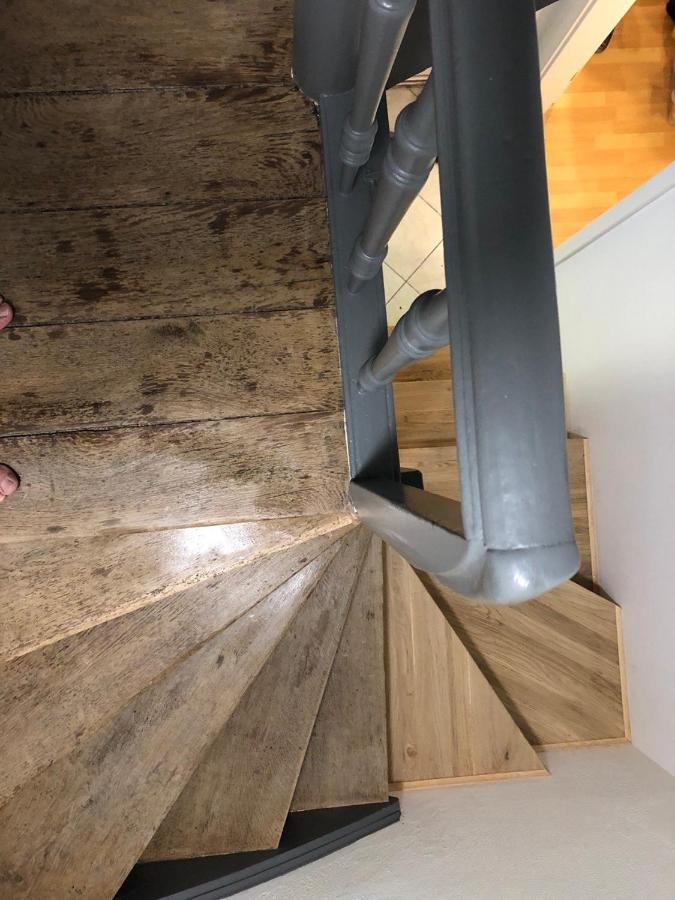 Ferienhaus Art Apartment - Harz Zorge Dış mekan fotoğraf