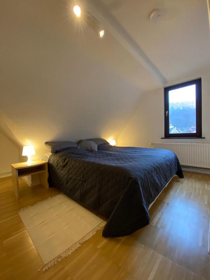 Ferienhaus Art Apartment - Harz Zorge Dış mekan fotoğraf
