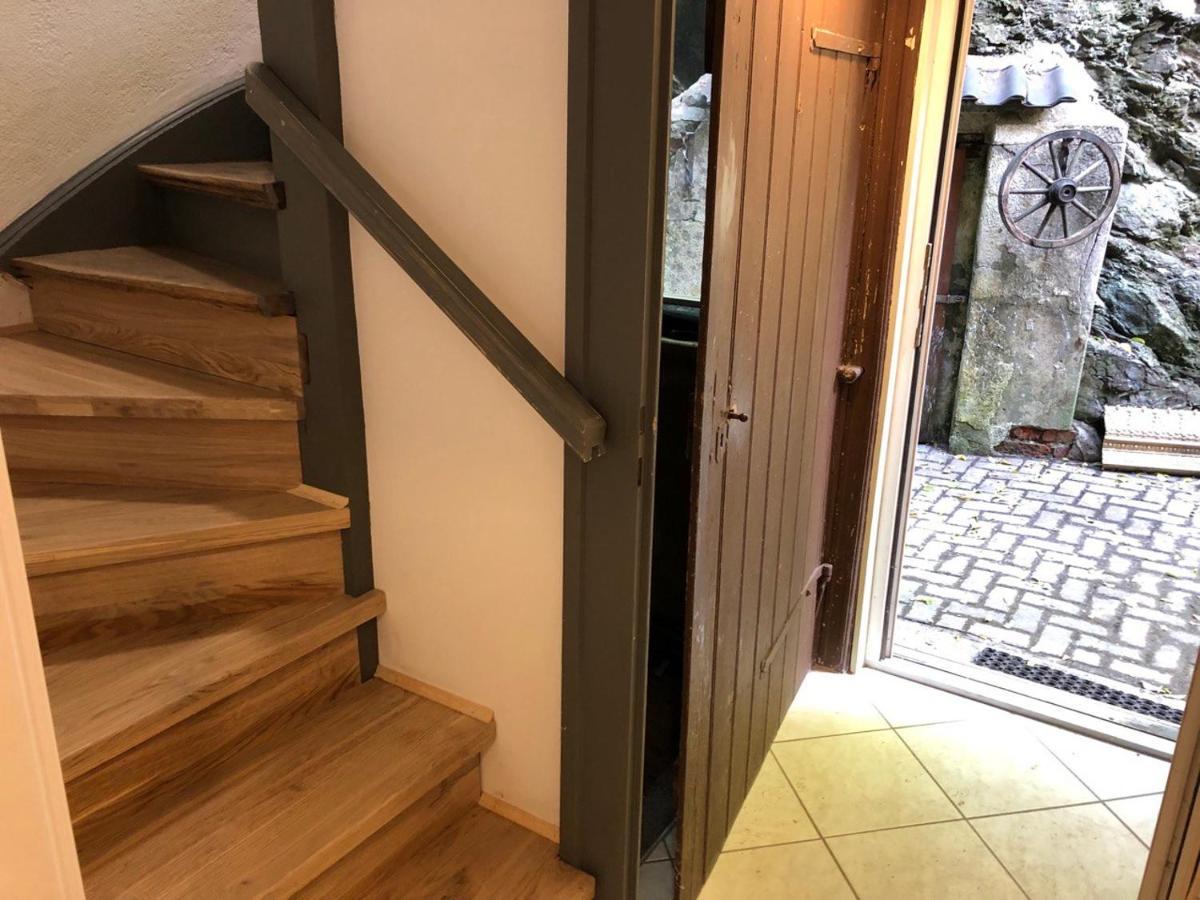 Ferienhaus Art Apartment - Harz Zorge Dış mekan fotoğraf