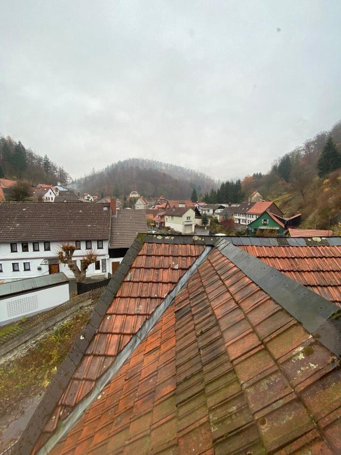 Ferienhaus Art Apartment - Harz Zorge Dış mekan fotoğraf