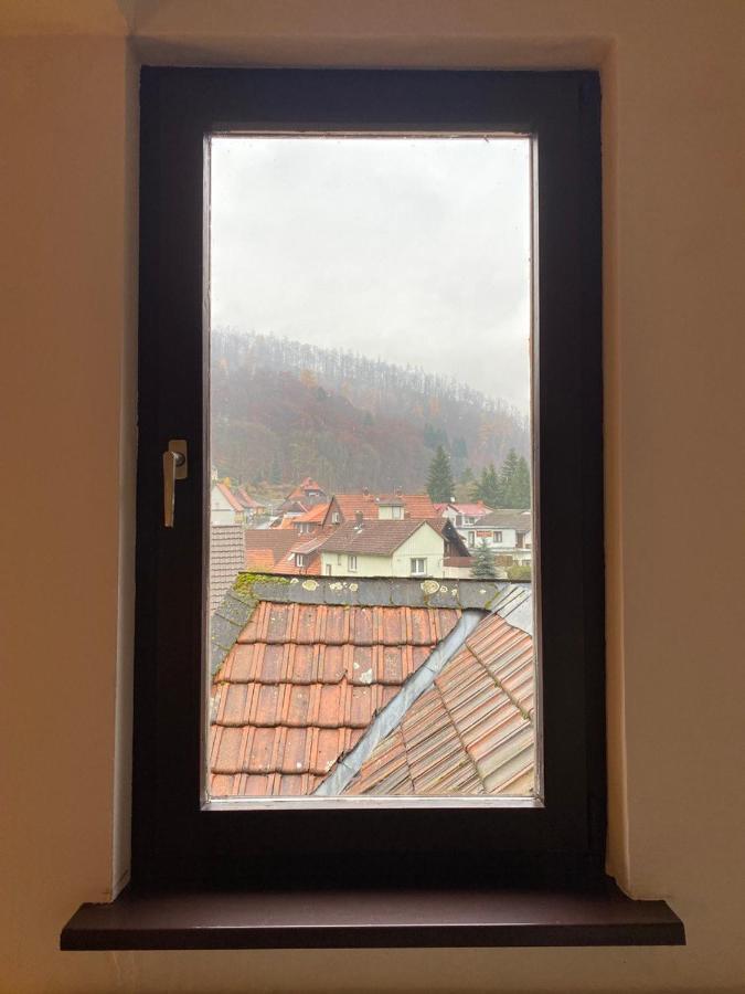 Ferienhaus Art Apartment - Harz Zorge Dış mekan fotoğraf