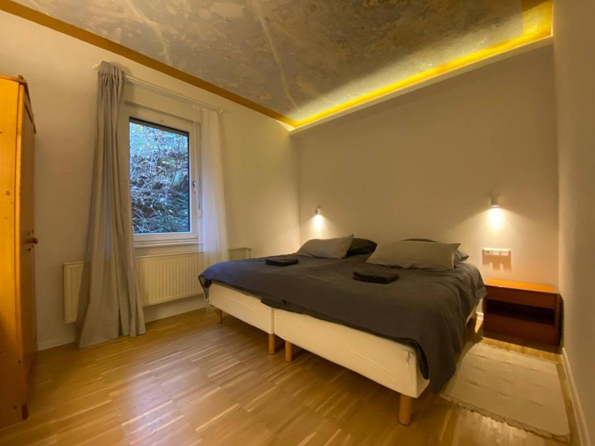 Ferienhaus Art Apartment - Harz Zorge Dış mekan fotoğraf