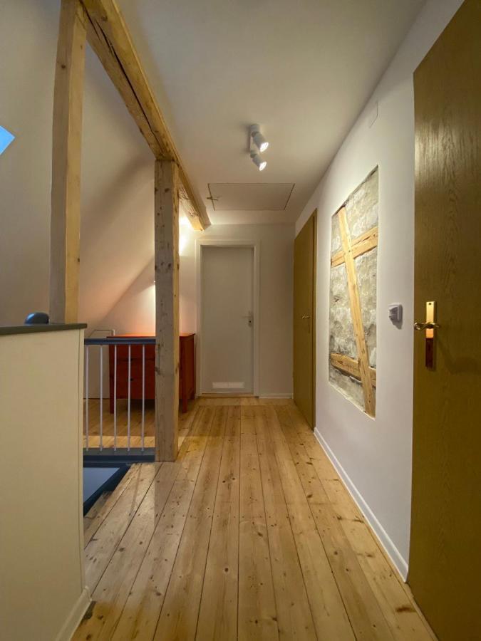 Ferienhaus Art Apartment - Harz Zorge Dış mekan fotoğraf