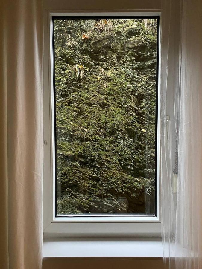 Ferienhaus Art Apartment - Harz Zorge Dış mekan fotoğraf